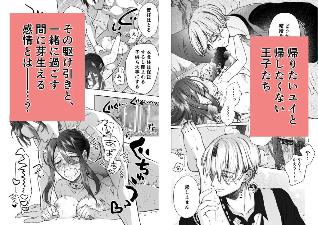 帰りたい救国の乙女と帰したくないふたりの王子前編　お試しページ4